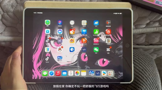 模拟飞行rfs pro 超简单获取教程