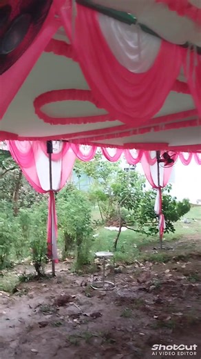 Trí Trần on Reels