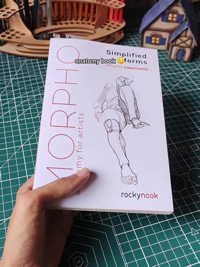 Essential Anatomy Guide for Artists