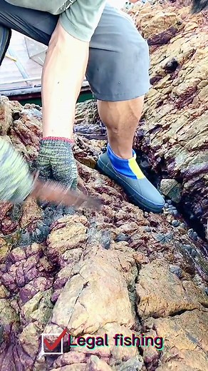 #outdoor #fyp #foryou #eel #for #fypシ #usa