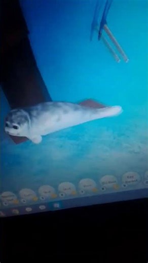 おかしなアザラシになろう #beasillyseal #pickaxe #seal #sillyseal