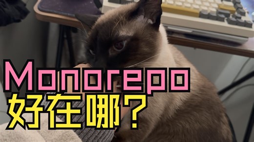 monorepo好在哪 | 什么是monorepo