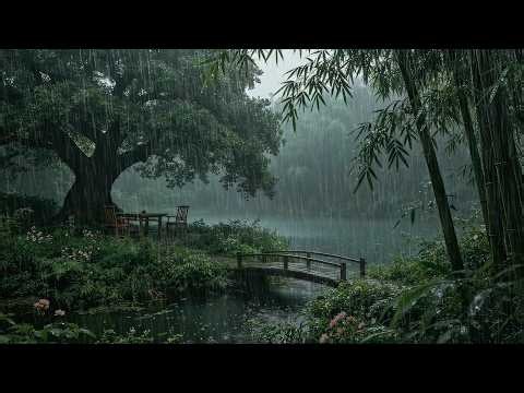 Rain Sounds of a Forest Lake Are Incredibly Peaceful and Relaxing Then Fall Asleep