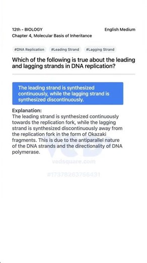 DNA Replication Leading vs Lagging Strand 12th Biology