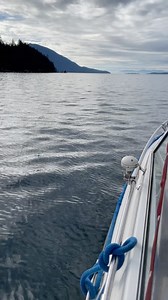 5.9K views · 26 reactions | Today was one of those days you were glad to choice tree work as a career. What are some standout highlights for you? #arborist #arblife #climbingarborist #treework #treecare #treeclimber #treeclimbing | ClimbingArborist.com | Facebook