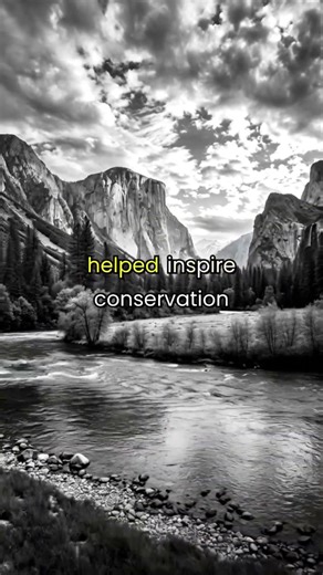 He Made Nature Impossible to Scroll Past