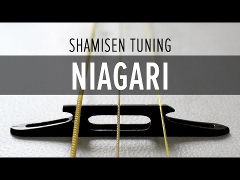 Shamisen Tuning | Niagari (二上り)