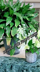 ✨BEHIND THE FRONT DESK✨ A new series taking you behind the scenes of...