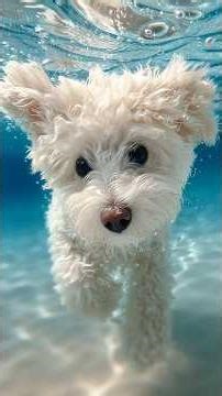 The Most Honest Relationship You’ll Ever Have #shorts