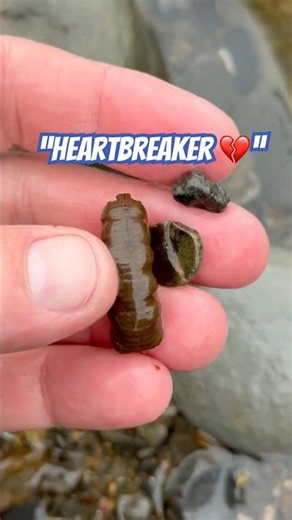 Fossil Hunting Heartbreaker 😩💫#fossilfriday#lymeregis#heartbreakersong