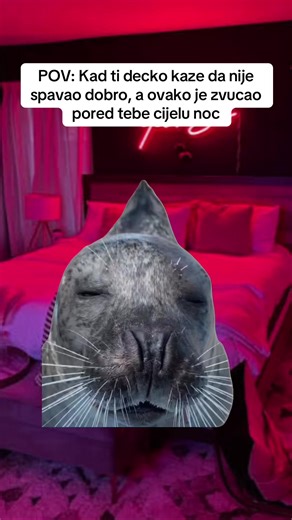 Taguj prijatelja ili posalji nekome ko testera dok hrce. 🤤😪💀#meme #relationship #fyp #foryou #pov