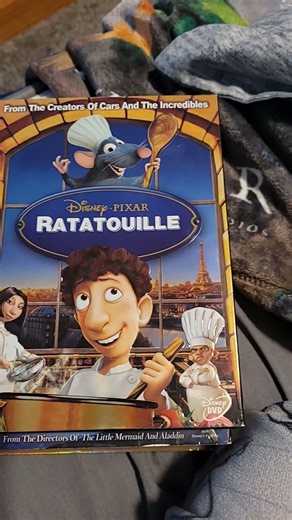 Bootleg Disney DVD From A Wholesale DVD collection