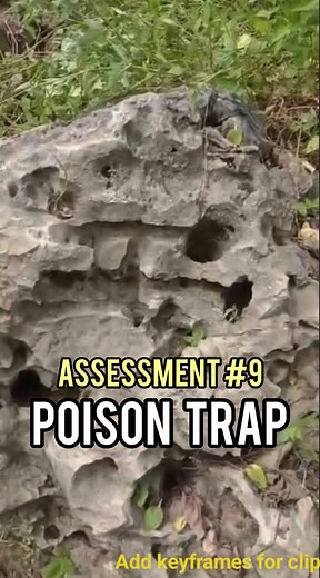 19K views · 920 reactions | Assessment #9 poison trap treasure site | Code Reader 金 | Facebook