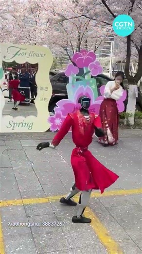 Dancing robot takes a tumble in China