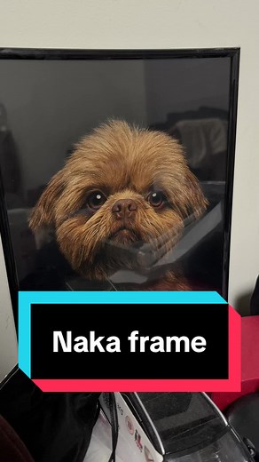 ChatGPT pet photo trends and tutorials