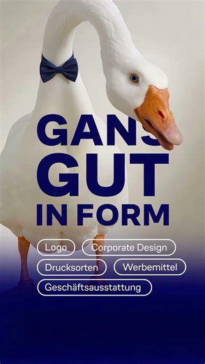 Gans gut in Form dank Grafik und Design mit Wirkung! 🖋️🫶🎨