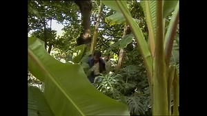 Maria del Carmen 30. rész