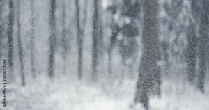 Winter landscape during snowfall. Winter Christmas abstract background on super slow motion.