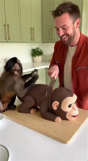 Style)Monkey Gets Angry 😂😡🎂 | Funny Monkey Reaction When Cake Is Cut #Shorts