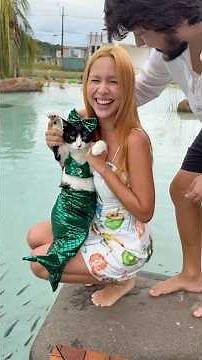 I bought a mermaid tail for my cat 😻🧜‍♀️