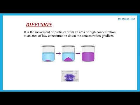 IGCSE Chemistry Review Cambridge Core Part 1 - Dr Hanaa Assil