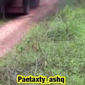 6.6K views | Oh popopopo !!! | Promo Club_Web | Facebook