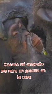 #pakinski4 #amigosyamigasdefacebook #humor | Francisco Ulises Jacinto