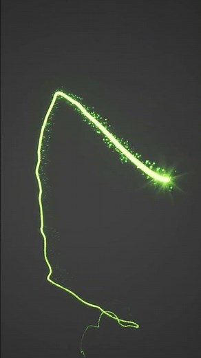 Spline based Particles in UE5 Niagara Tutorial | Download Files