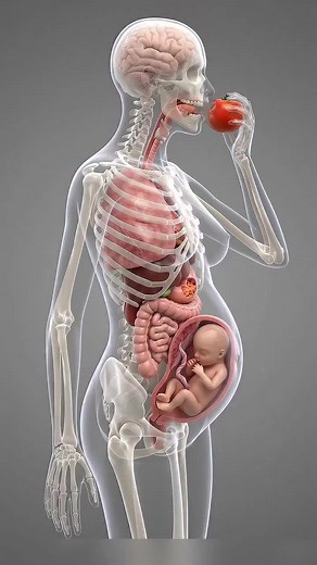 what happened inside your body when you eat tamato during pregnancy watch full video how baby growth and strong #babygrowth #pregnant #pregnancy