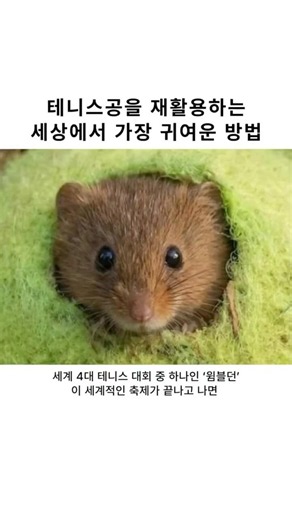 세상에서 가장 귀여운 재활용 방법