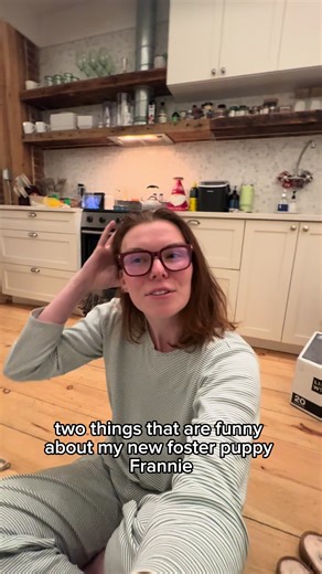 Finding the Best Do Not Disturb Signs for Pets