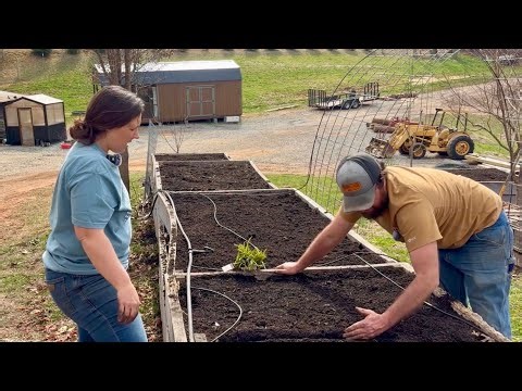 It Kicked the Bucket || Strawberries, Herbs, & Onions in the Garden || March 2026