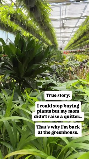 Explore the Benefits of Local Greenhouses and Plant Care