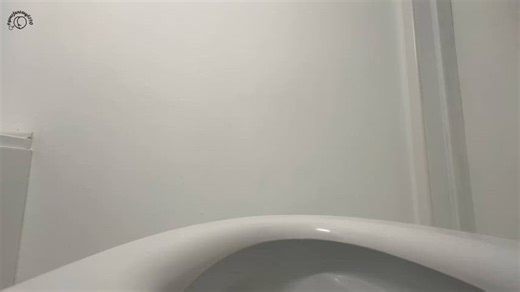 Moldable Shit Plops In the Bowl