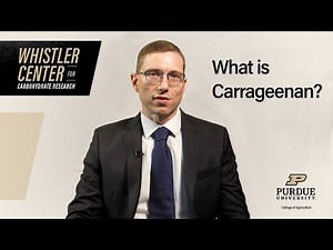 What is Carrageenan?