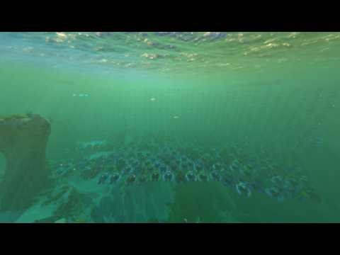 Making A Seamoth Every Day Until Subnautica 2: Day 932