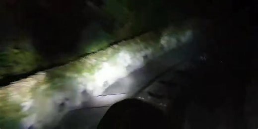 Hagrid’s Magical Creatures Motorbike Adventure Universal Orlando Resort Island's of Adventure LOVE this ride! Ride early morning or late at night for shorter wait times. | DisneyFamilyMadness