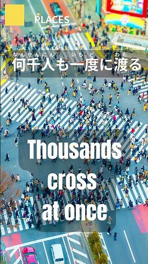 Tokyo’s Craziest Crossing?! Shibuya 🇯🇵