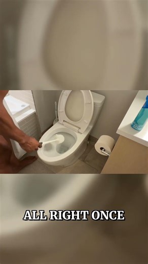 The Final Flush: Toilet Cleaning Hack Finish