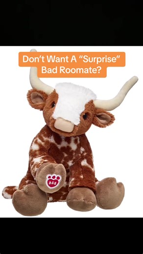 Beloved Bevo on TikTok