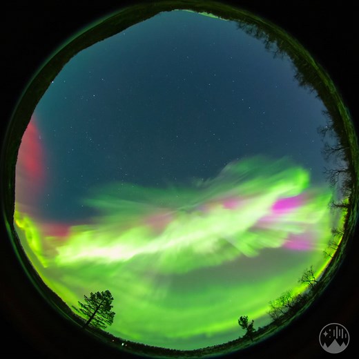 WOOOOW insane aurora in 360 degrees | Night Lights Films