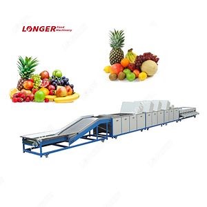 Fruit and Vegetable Washer Machine Fruit Washing and Grading Processing Machinery