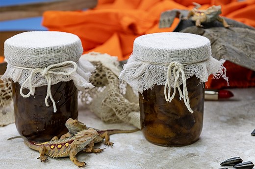 Zero's "Sploosh" Spiced Peaches & Onion Recipe from Holes