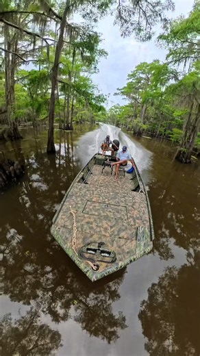 Explore Caddo Lake with Captain Danny this Summer