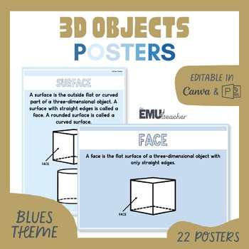 3D Objects / 3D Shapes Posters Blues Key Vocabulary Features Types
