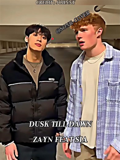 Dusk Till Dawn – ZAYN ft. Sia | Unstoppable Love