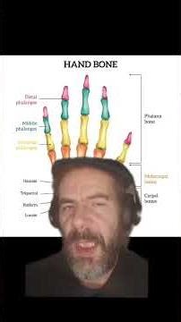 Alternative Mathematics