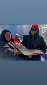 Now taking bookings for spring, summer autumn Norfolk Broads bass fishing & winter Pike fishing. | Live Stream Fishing UK | Facebook