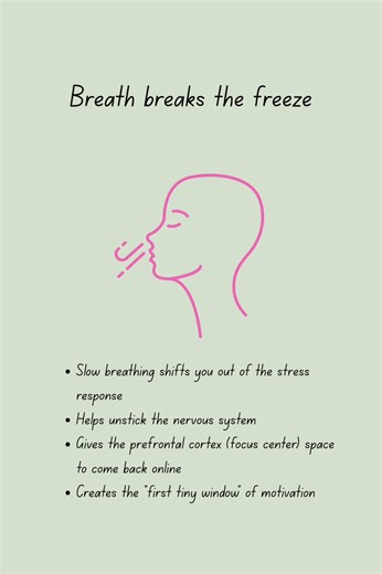 ADHD brains hit freeze when your nervous system is overloaded. Your brain isn’t avoiding the task — it’s protecting you. Breathwork one tiny, regulated step is all it takes to start moving again. Remember: small steps regulation > forcing focus. Save this for your next freeze-mode moment 💬 Or comment “💛” if you’ve felt this before — you’re not alone #ADHDAwareness #ADHDTips #KundaliniYoga #BreathworkForADHD #ADHDLife | Life Hydration: Kundalini Yoga for the ADHD Mind