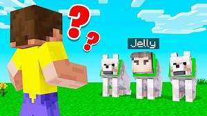 Which DOG Is The REAL JELLY (Minecraft Guess Who) ►Crainer Minecraft All Video: https://www.facebook.com/watch/101839454766172/500777607540592 #minecraftfans #crainer | Crainer